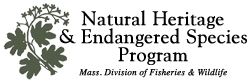 MassWildlife's Natural Heritage & Endangered Species Program